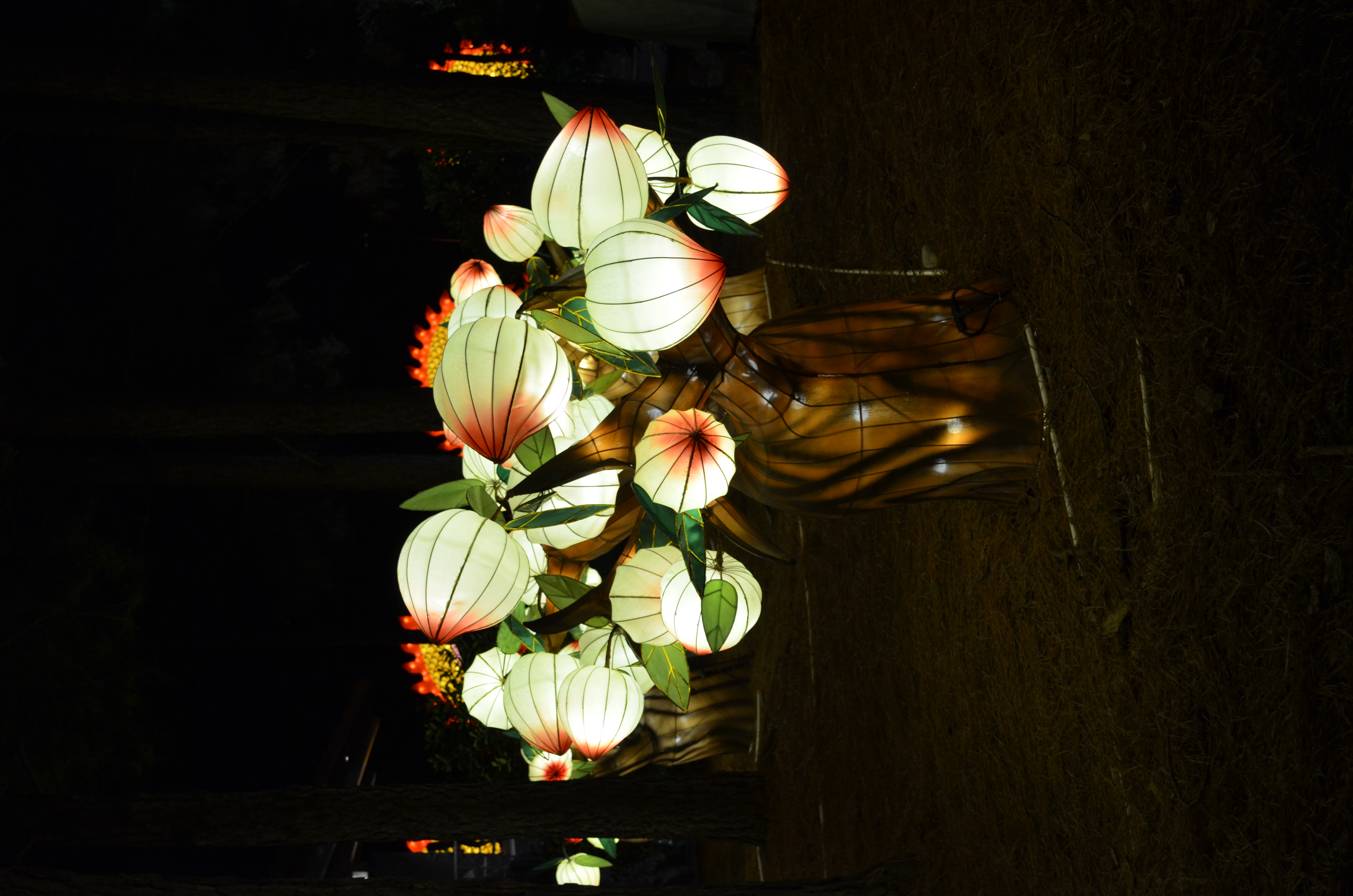 ./2015/33 - Chinese Lantern Festival/DSC_0594.JPG